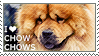 I love Chow Chows