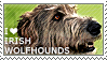 I love Irish Wolfhounds