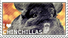 I love Chinchillas