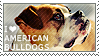 I love American Bulldogs by WishmasterAlchemist