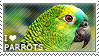 I love Parrots by WishmasterAlchemist