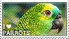 I love Parrots