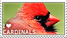 I love Cardinals