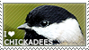 I love Chickadees