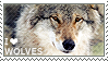 I love Wolves