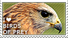 birdstamp birdstamp