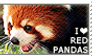 I love Red Pandas