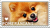 I love Pomeranians by WishmasterAlchemist