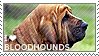 I love Bloodhounds by WishmasterAlchemist