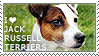 I love Jack Russell Terriers