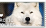 I love Arctic Wolves