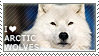 I love Arctic Wolves by WishmasterAlchemist