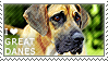I love Great Danes