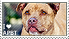 I love American Pit Bull Terriers by WishmasterAlchemist