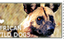 I love African Wild Dogs