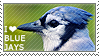 I love Blue Jays