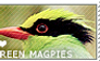 I love Green Magpies