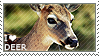 I love Deer by WishmasterAlchemist