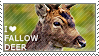 I love Fallow Deer by WishmasterAlchemist