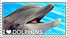 I love Dolphins