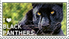 I love Black Panthers