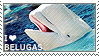 I love Belugas by WishmasterAlchemist