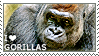 I love Gorillas by WishmasterAlchemist