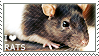 I love Rats by WishmasterAlchemist
