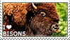 I love Bisons