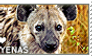 I love Hyenas
