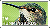 I love Hummingbirds