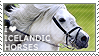 I love Icelandic Horses by WishmasterAlchemist