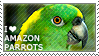 I love Amazon Parrots by WishmasterAlchemist