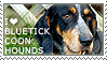 I love Bluetick Coonhounds
