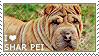 I love Shar Pei