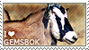 I love Gemsbok