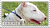 I love Bull Terriers