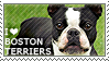 I love Boston Terriers by WishmasterAlchemist