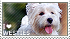 I love West Highland White Terriers by WishmasterAlchemist