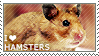 I love Hamsters