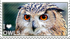 I love Owls by WishmasterAlchemist