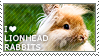 I love Lionhead Rabbits by WishmasterAlchemist