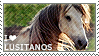 I love Lusitanos