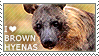 I love Brown Hyenas by WishmasterAlchemist