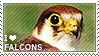 I love Falcons