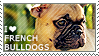 I love French Bulldogs by WishmasterAlchemist