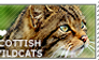 I love Scottish Wildcats