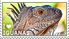 I love Iguanas by WishmasterAlchemist