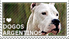 I love Dogos Argentinos by WishmasterAlchemist