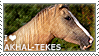 I love Akhal-Tekes by WishmasterAlchemist
